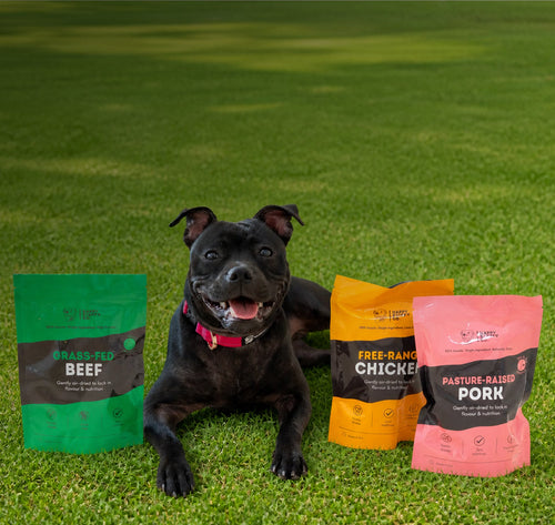 Healthy Dog Treats
