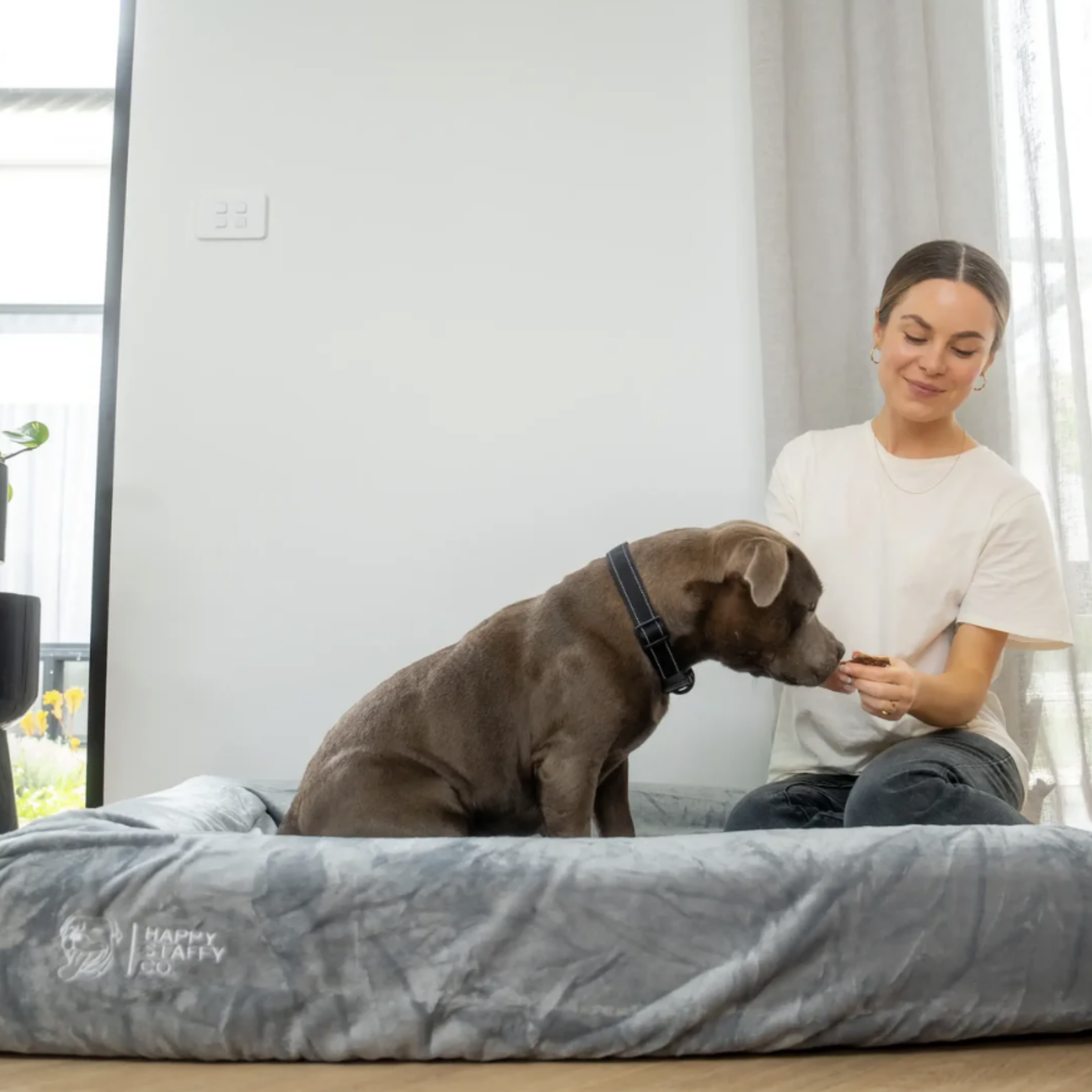 Memory Foam Orthopedic Dog Beds