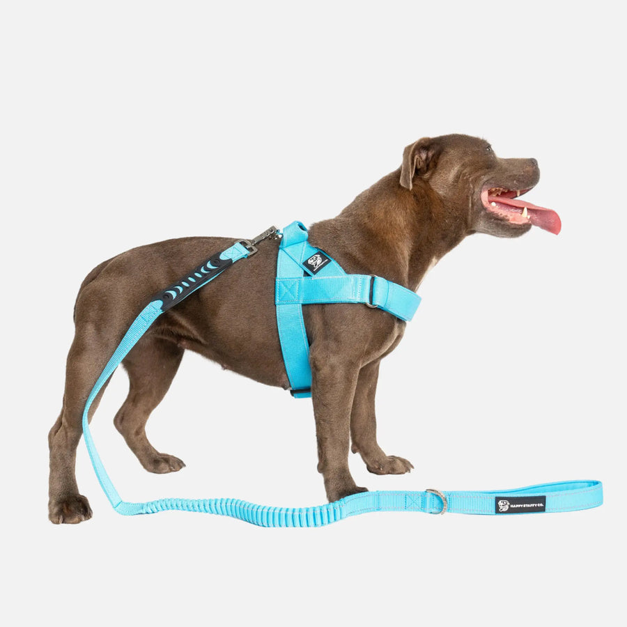 Walkies Starter Pack photo 1