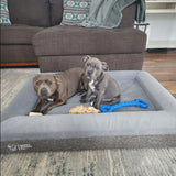 Orthopedic Memory Foam Bed + Pullover Blanket Cover