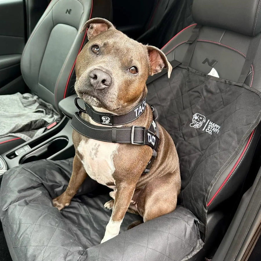 Single Car Seat Protector photo 8