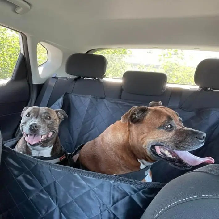 Premium Car Seat Protector photo 5
