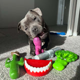 Treat & Toy Combo (Chewzilla®)