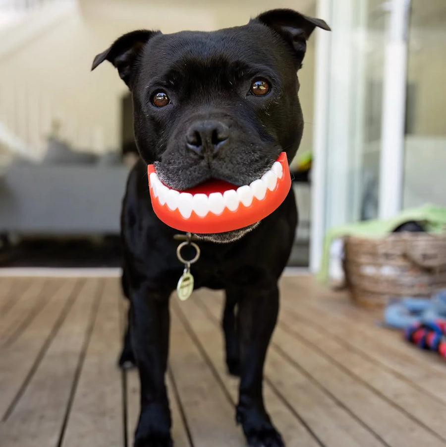 Chatter Chompers photo 3