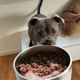 Happy Staffy Food Bowl