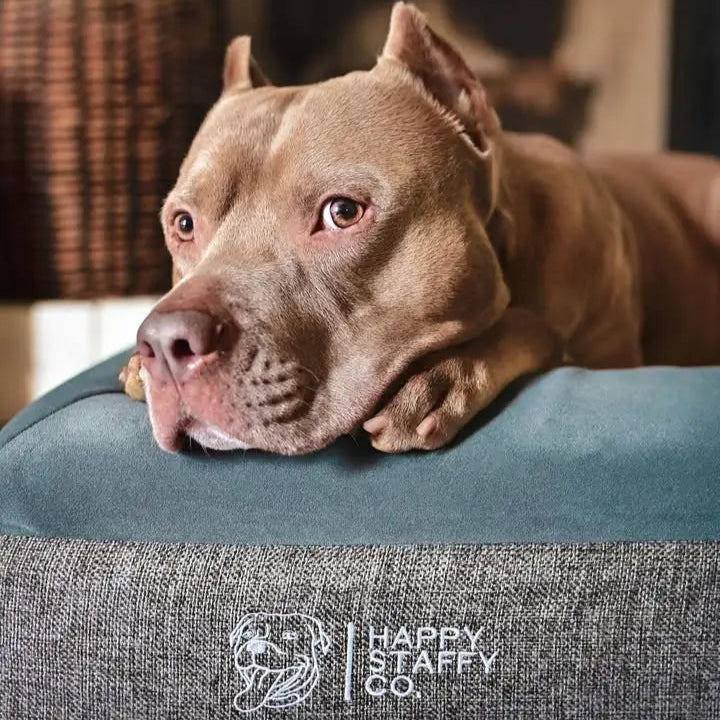 Deluxe Orthopedic Memory Foam Bed photo 8