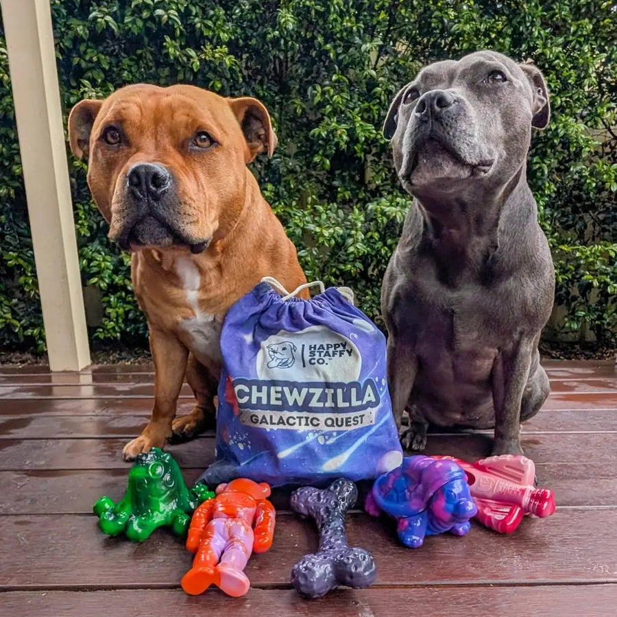 Chewzilla® Galactic Quest Collection photo 5