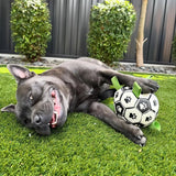 Ronaldog Soccer Ball
