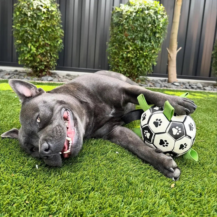 Ronaldog Soccer Ball photo 9