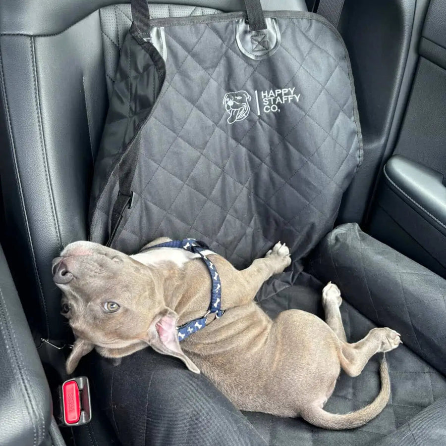 Single Car Seat Protector photo 9