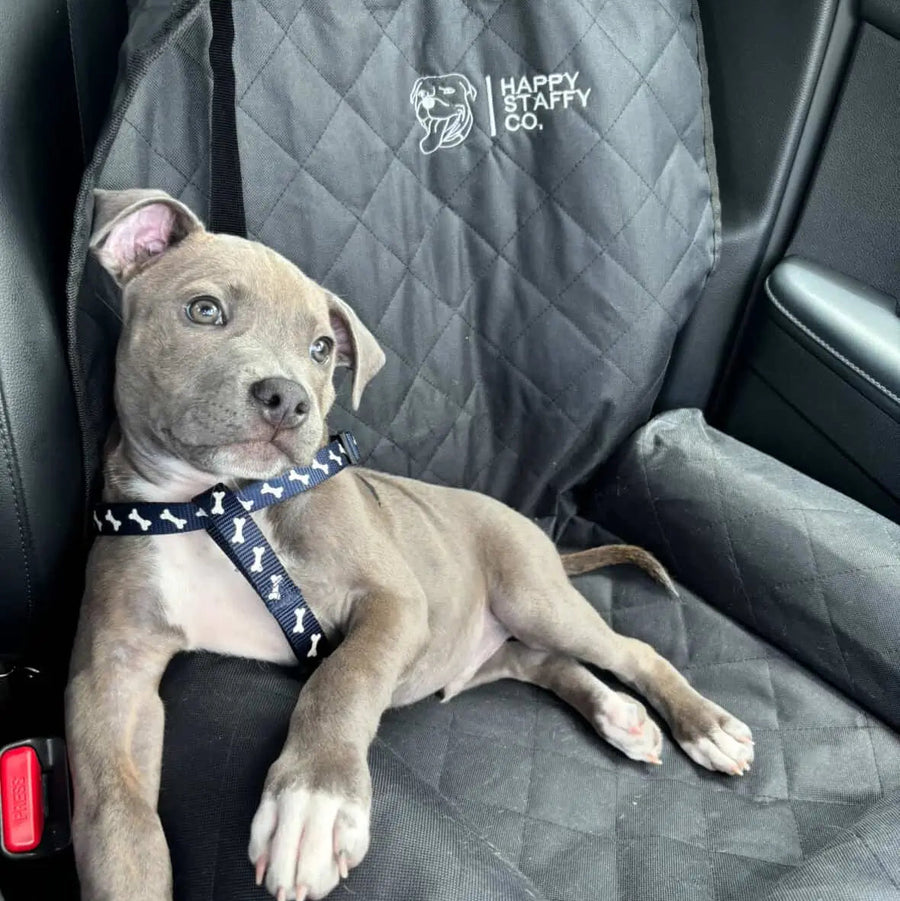 Single Car Seat Protector photo 2