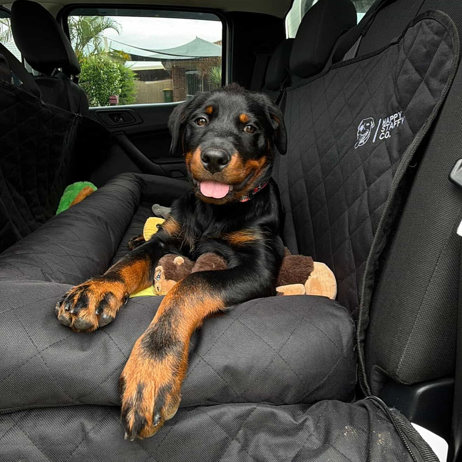 Premium Car Seat Protector photo 7