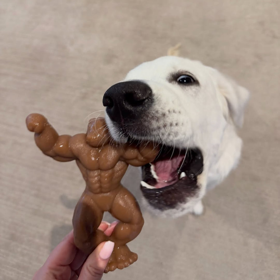 Staffy Schwarzenegger photo 8