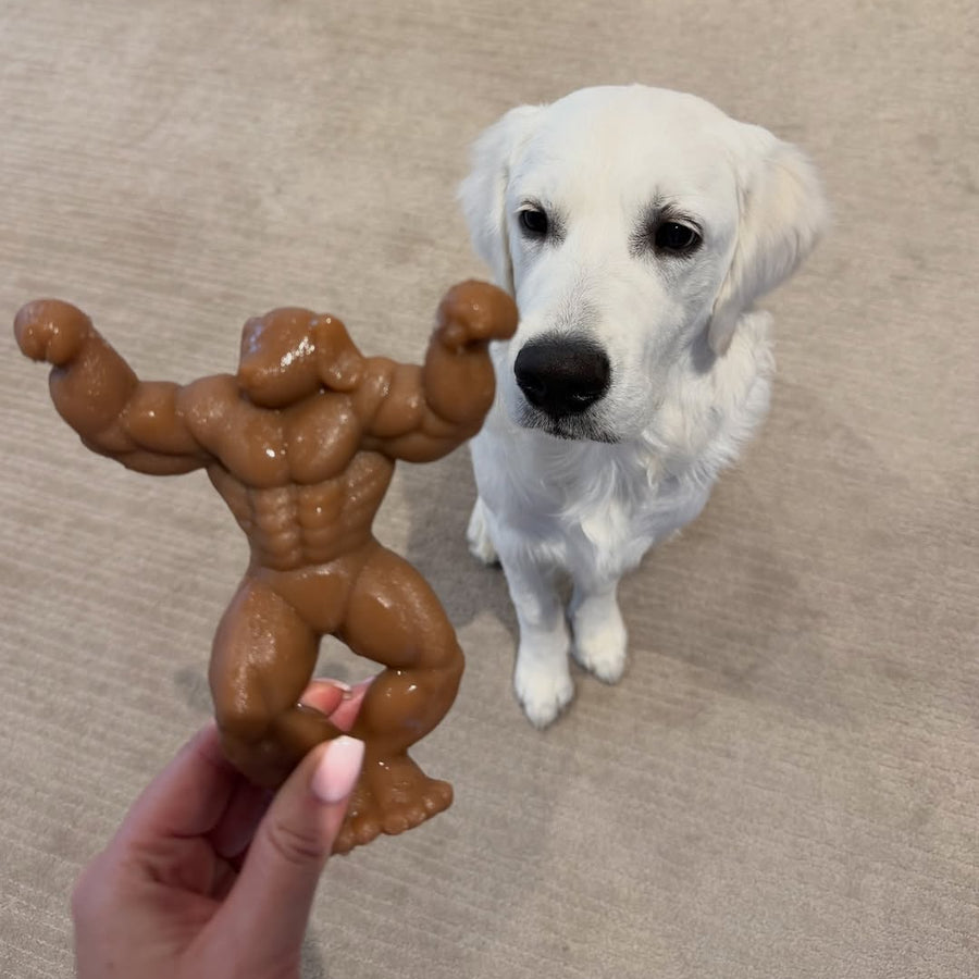 Staffy Schwarzenegger photo 6