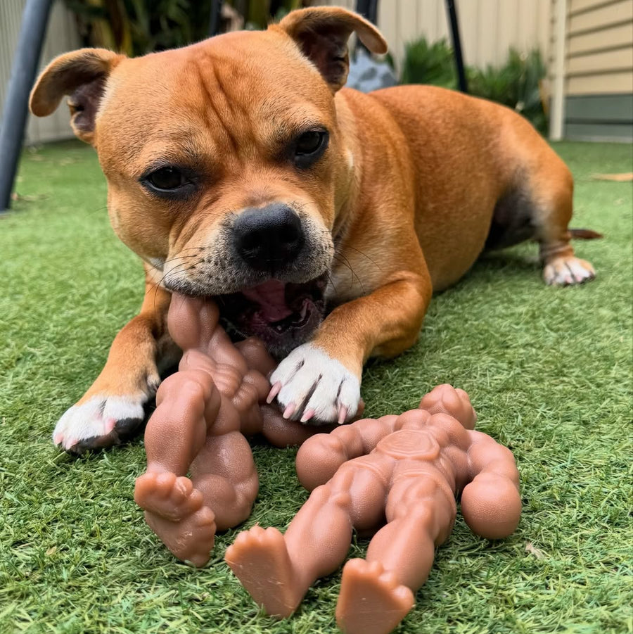 Staffy Balboa photo 7