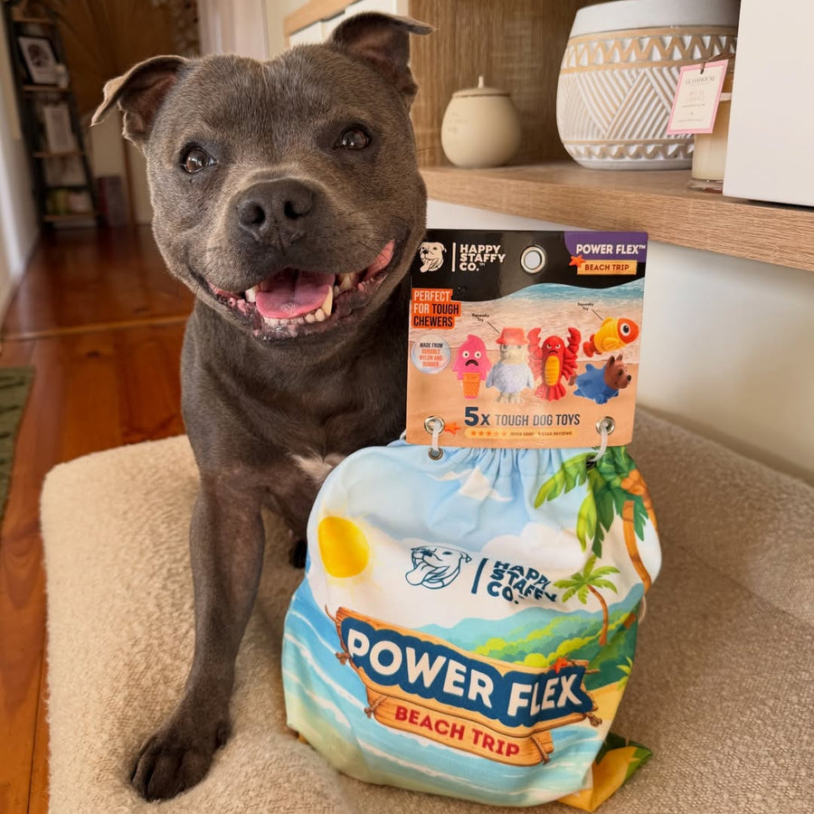 PowerFlex™ Beach Trip photo 9
