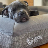 Deluxe Orthopedic Memory Foam Bed