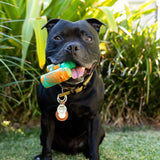 Chewzilla® Safari Collection