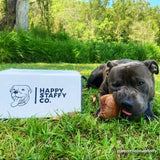 Treat & Toy Combo (Chewzilla®)