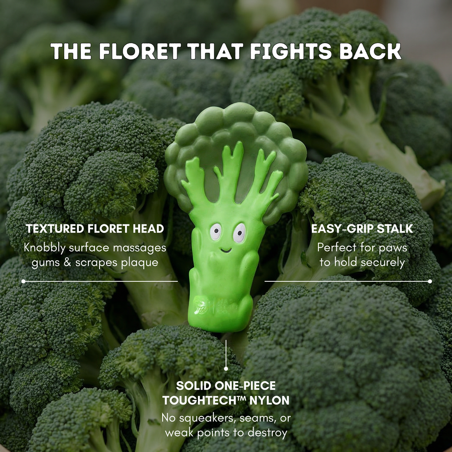 Broccoli Crunch photo 4