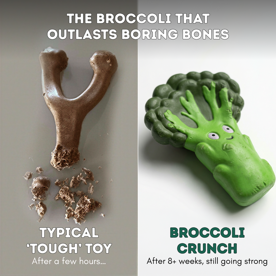Broccoli Crunch photo 6