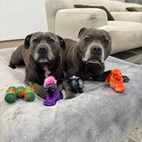 Chewzilla® Safari Collection