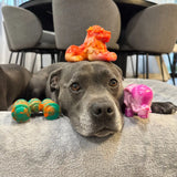 Chewzilla® Safari Collection