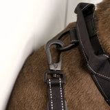 Anti Shock Bungee Leash