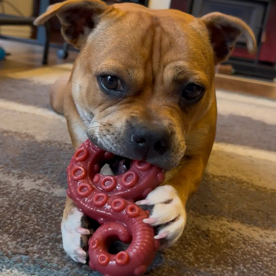 Chewzilla® Deep Sea Mission photo 2