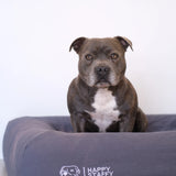 Orthopedic Memory Foam Bed + Pure Cotton Cover