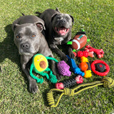 Treat & Toy Combo (PowerFlex™ Collection)