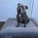 Deluxe Orthopedic Memory Foam Bed