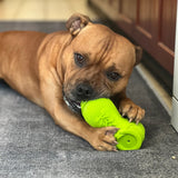 Squeaky Shoe