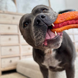Treat & Toy Combo (PowerFlex™ Collection)