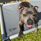 Chew-Proof Outdoor Dog Bed