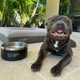 Food & Water Bowl Combo