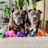 Chewzilla® Safari Collection