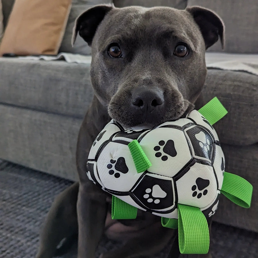 Ronaldog Soccer Ball photo 10