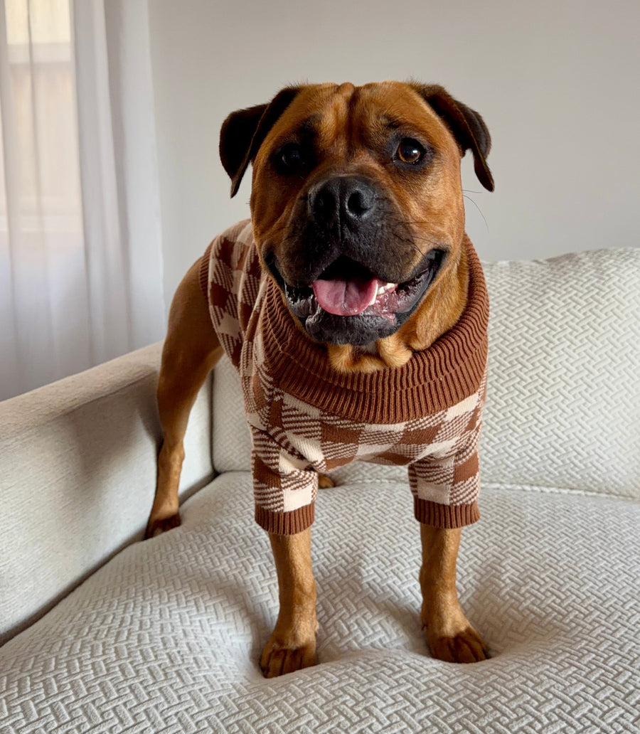 Cotton Dog Jumper photo 8