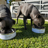Food & Water Bowl Combo