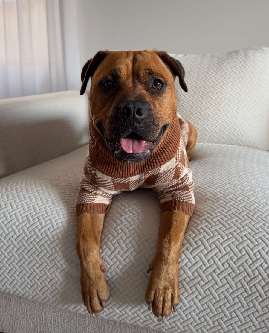 Cotton Dog Jumper photo 7