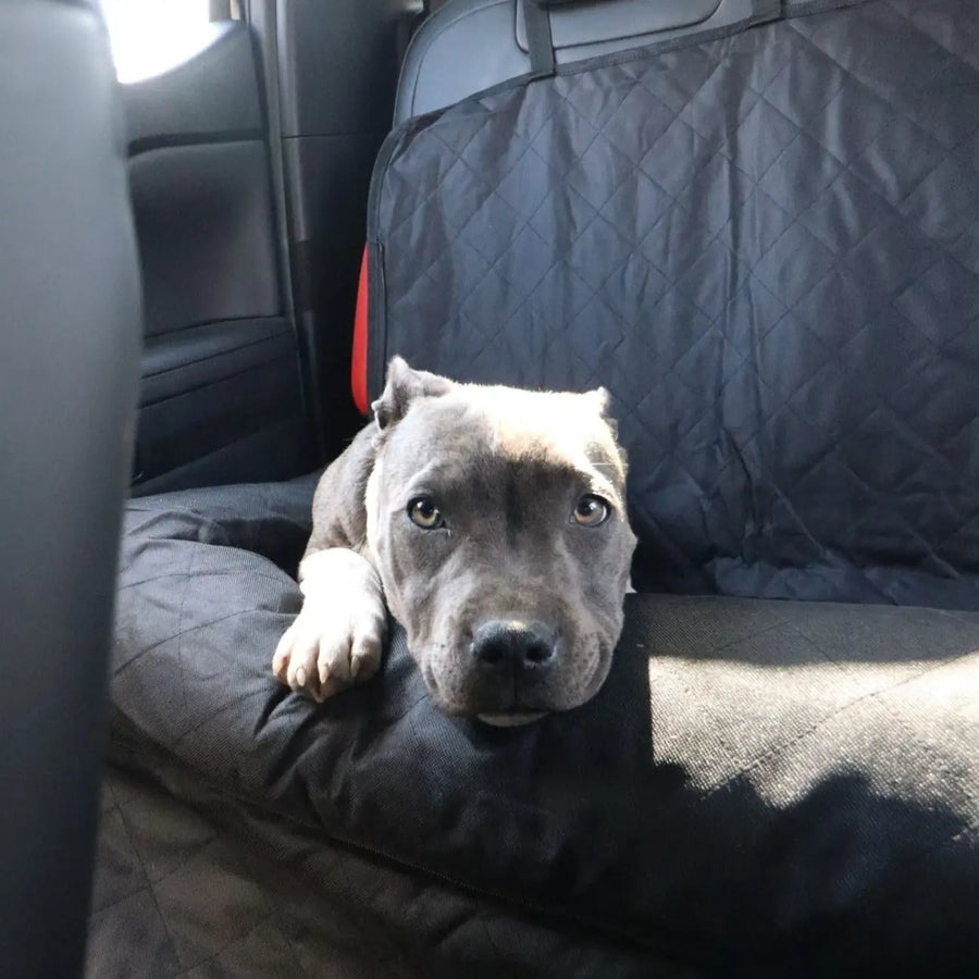 Premium Car Seat Protector photo 6