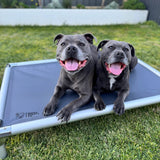 Chew-Proof Outdoor Dog Bed
