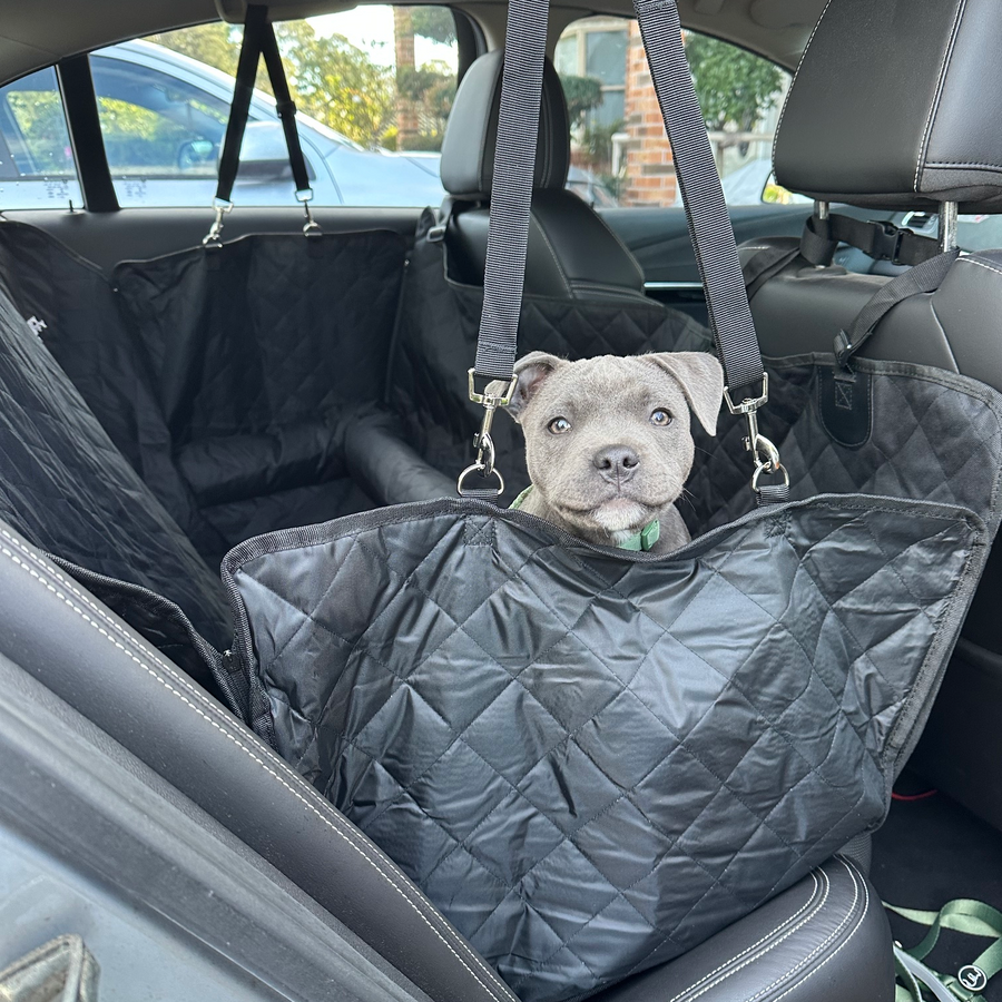 Premium Car Seat Protector photo 4