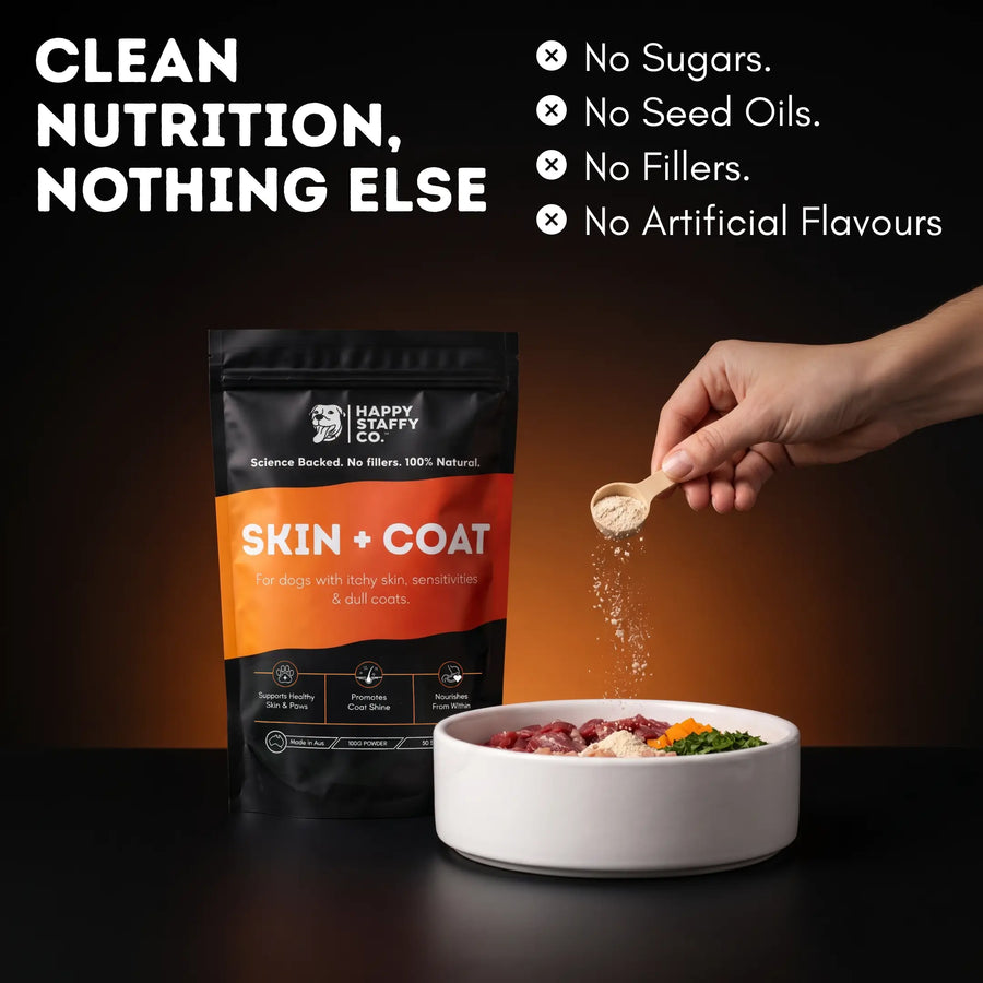 Skin & Coat Dog Supplement photo 4