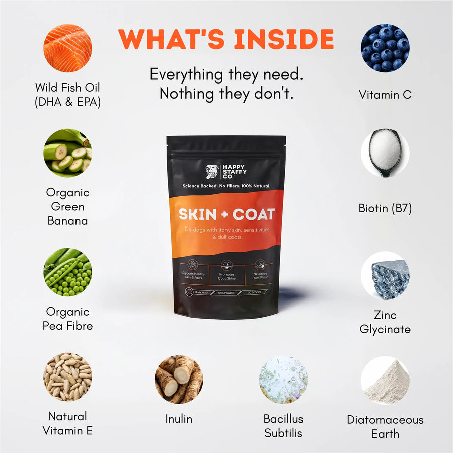 Skin & Coat Dog Supplement photo 2