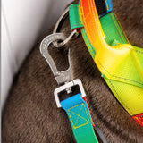 Anti Shock Bungee Leash