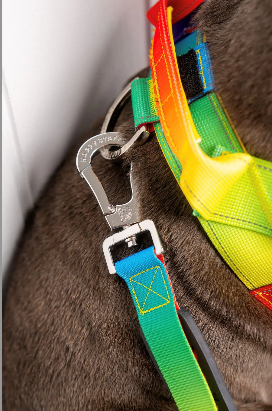 Anti Shock Bungee Leash photo 3