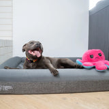 Deluxe Orthopedic Memory Foam Bed