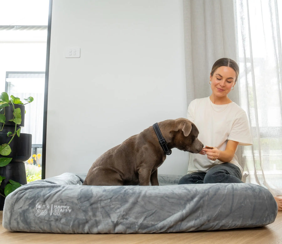 Orthopedic Memory Foam Bed + Pullover Blanket Cover photo 2